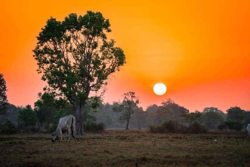 Authentic Siem Reap: Tuk Tuk Countryside and Sunset Tour - Authentic Siem Reap: Tuk Tuk Countryside and Sunset Tour — A Deep Dive