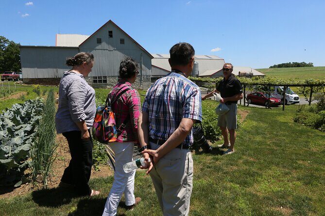 Authentic Tour & Meal with the Amish! - The Meal: A Highlight of the Experience