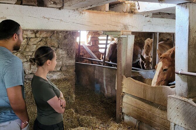 Authentic Tour & Meal with the Amish! - Is It Worth the Price?