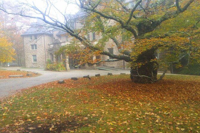 Autumn in Acadia National Park Private Leaf Peeper Driving Tour - Who Should Consider This Tour?