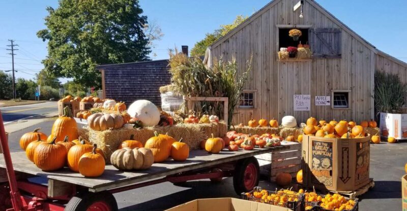Autumn in New England - Who Will Enjoy This Tour?