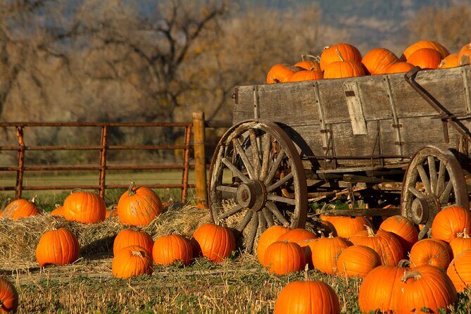 Autumn Romance Escape: A Nashville Couples' Getaway - What’s Included and What to Expect