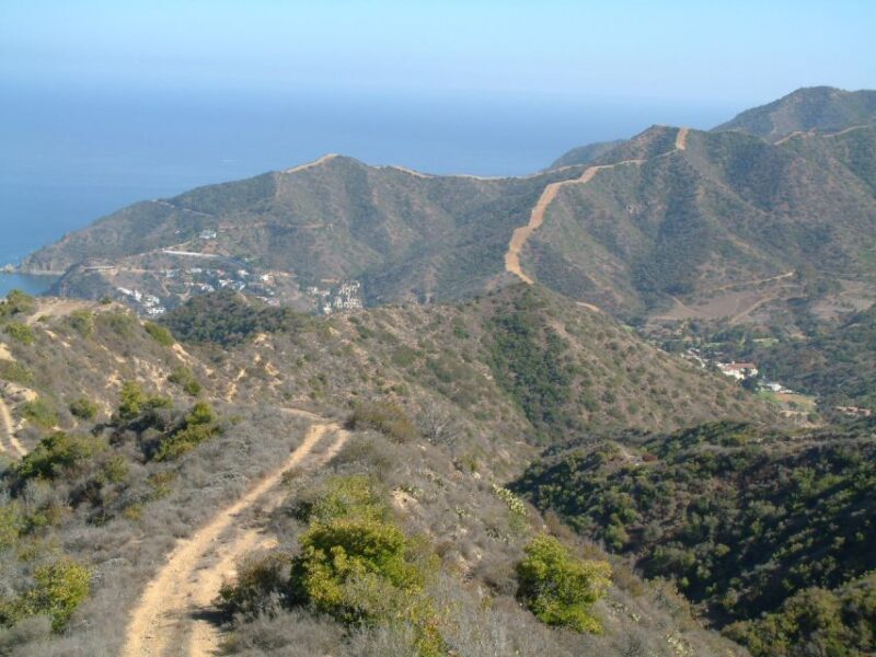 Avalon, Catalina Island: 2-Hour Inside Adventure Tour - Exploring the Tour: What to Expect