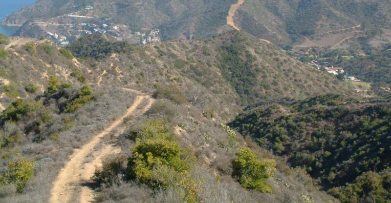 Avalon, Catalina Island: 2-Hour Inside Adventure Tour - FAQ