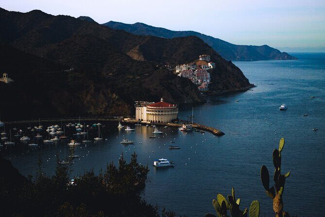 Avalon on Foot Self-Guided Audio Tour of Catalina Island - Dive into Catalina’s Diving Legacy