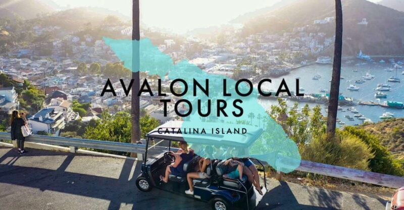Avalon: Private Golf Cart Tour with Driver-Guide - Who Should Consider This Tour?