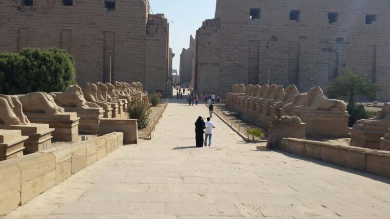 Avenue of Sphinxes Private Day Tour From Luxor - A Closer Look at the Experience
