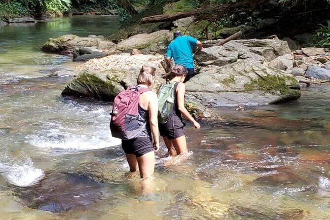 Avocat Waterfall and Beach Tour - A Genuine Look at the Avocat Waterfall and Beach Tour