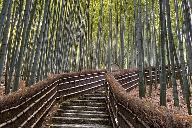 Avoid the Crowds at the Hidden Gems of Arashiyama in Kyoto - A Deep Dive into the Journey
