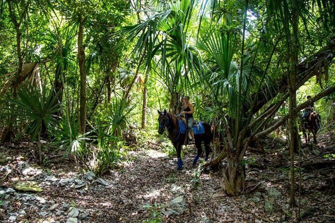 Award-winning Classic Horseback Ride (max. 6 riders) - FAQs