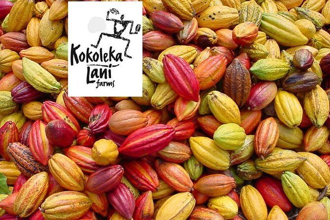 Award Winning Farm Tour: Coffee, Chocolate and Unique Gifts - Final Impressions