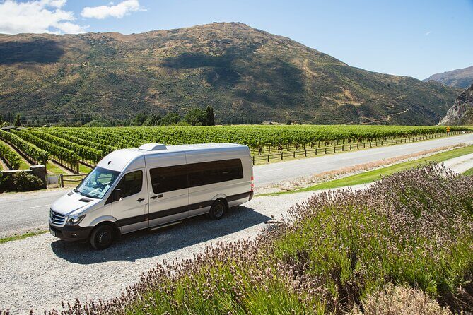 Award Winning Premium Wine Tour Queenstown Tasting at 4 Wineries - Authenticity and Tips for Making the Most of It