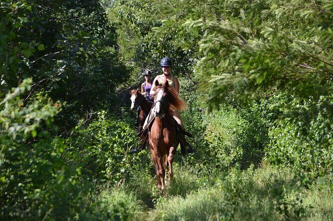 Award-winning Private Classic Horseback Ride - Who Will Love This Tour?