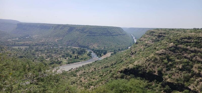 "Awash National Park Safari Experience" - Key Points