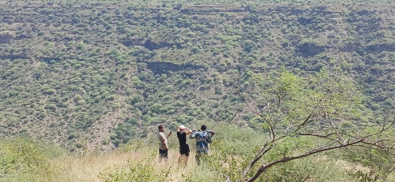 "Awash National Park Safari Experience" - Exploring the Awash National Park Safari in Detail