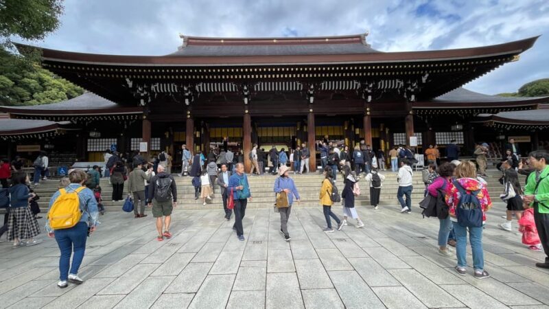 Awesome Private Tour: Tsukiji, Asakusa, Shinjuku, Shibuya - The Value of a Guided Private Tour