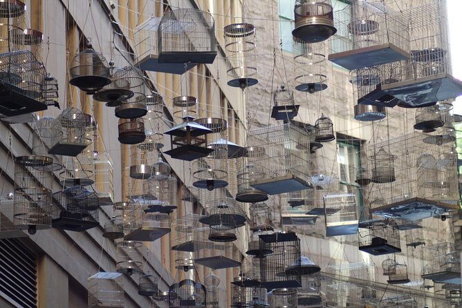 Awesome Sydney Scavenger Hunt: Inside Sydney - The Pros and Cons Based on Real Feedback