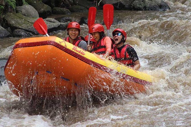 Ayung River - White Water Rafting Bali - A Closer Look at the Tour