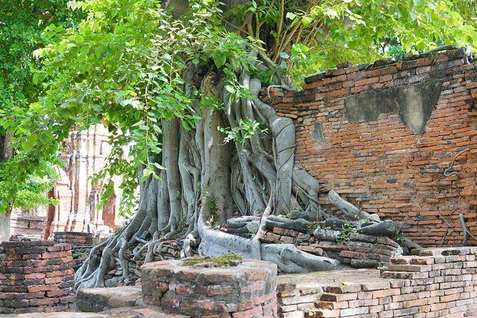 Ayutthaya Evening Tour with Dinner - The Sum Up