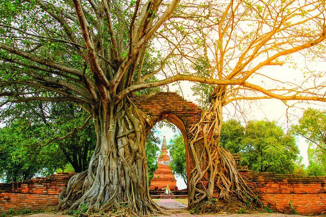 Ayutthaya Sunset Boat & UNESCO Temples: Multi-language private tour from Bangkok - Who Will Love This Tour?