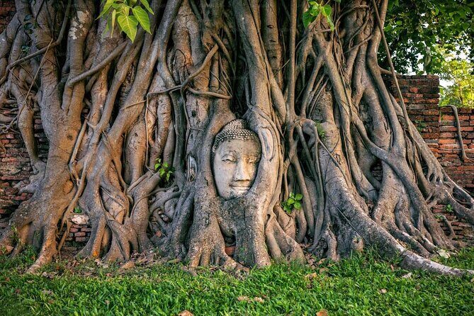 Ayutthaya Temples & Local Candy Tasting Private Tour (RotiSaiMai) - A Sweet Detour — Roti Sai Mai