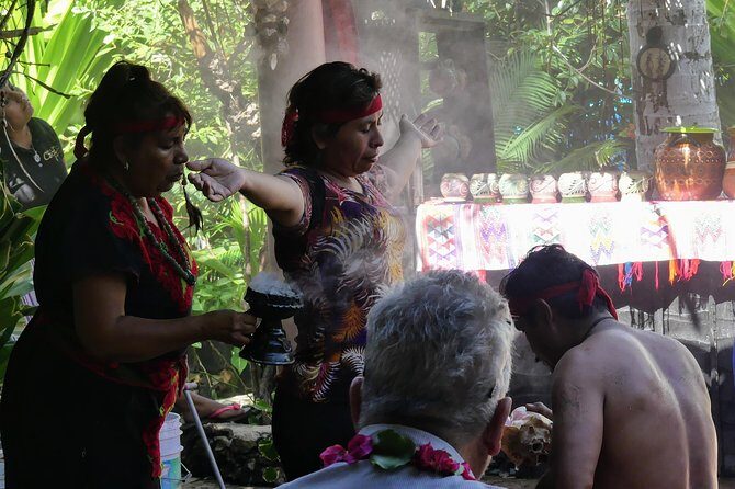 Aztec Temazcal Experience & Jungle Coyuca Lagoon &Turtle Release - Authenticity and Value