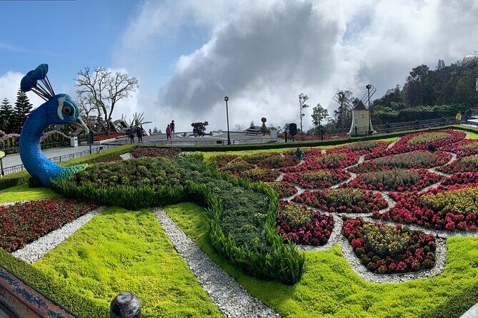 Ba Na Hills & Golden Bridge Tour from Da Nang - A Deep Dive into the Ba Na Hills & Golden Bridge Tour