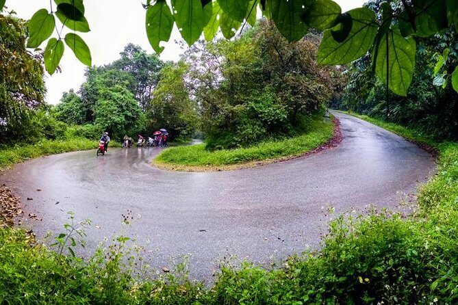 Ba Vi National Park Private Tour: Sightseeings & Jungle Hikking - What You Can Expect