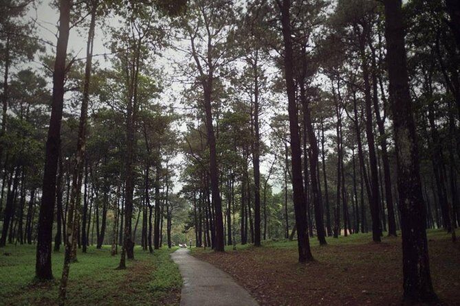 Ba Vi National Park Private Tour: Sightseeings & Jungle Hikking - Authenticity and Reviews