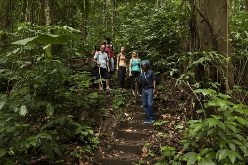 Babonneau/Castries: Rainforest Zip Line, Tram, and Hike Tour - Practical Tips for Participants