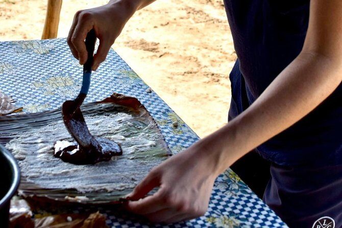 Baby sea turtles camp - Who Should Consider This Tour?