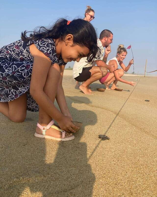 Baby Sea turtles release in Puerto Escondido - Key Points