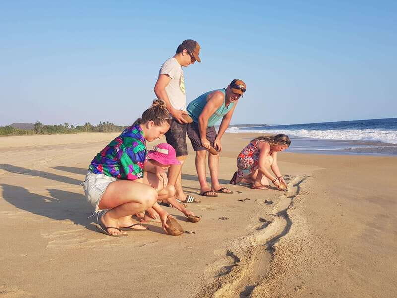 Baby Sea turtles release in Puerto Escondido - Who Will Love This Experience?