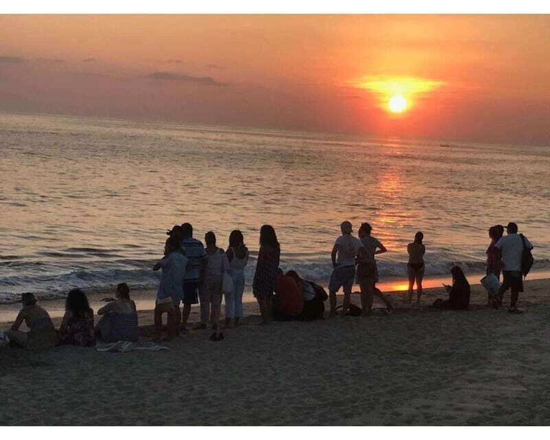 Baby Sea turtles release in Puerto Escondido - The Sum Up
