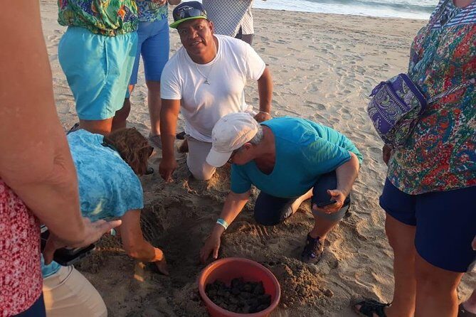 Baby Turtle Release in Coyote Escobilla Beach - The Experience Through the Eyes of Travelers