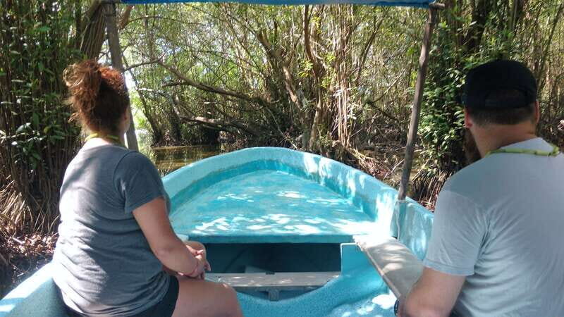 .Baby Turtle Release, Lagoon Boat Ride, and Crocodile Farm - An In-Depth Look at the Tour Experience