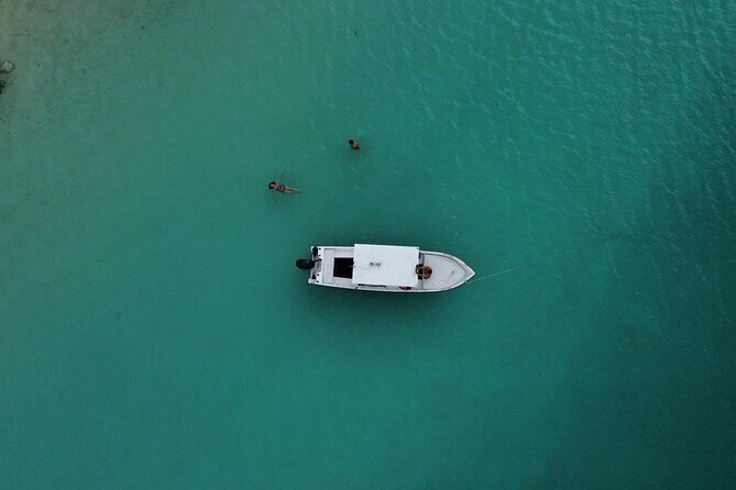Bacalar Boat Tour and Visit to Cenotes - The Sum Up: Who Is This Tour For?