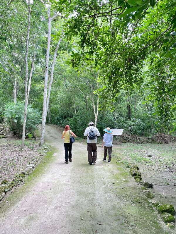 Bacalar: Calakmul daytour ruins and walk in the jungle.. - Practical Details and Tips