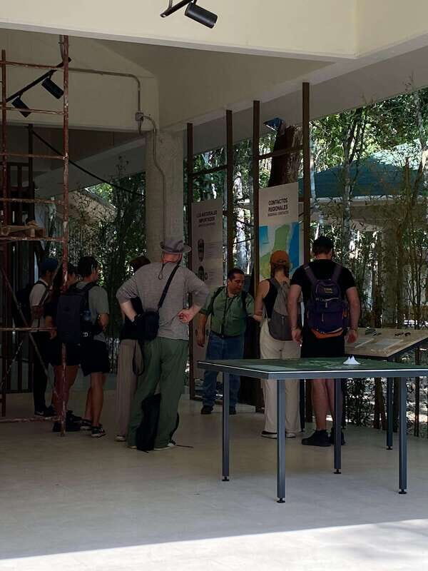 Bacalar: Calakmul Ruins Day Trip with a Stop In The Jungle - Key Points