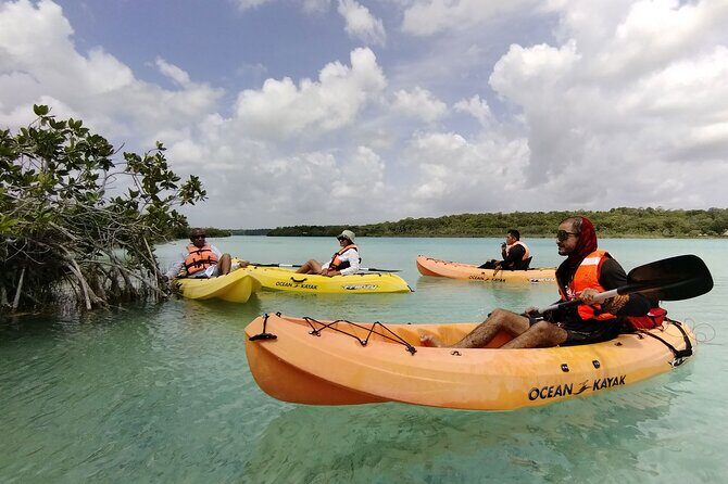 Bacalar Lagoon & Kayak Tour in Club Marmol from Playa del Carmen - A Deep Dive into the Bacalar Lagoon & Kayak Tour