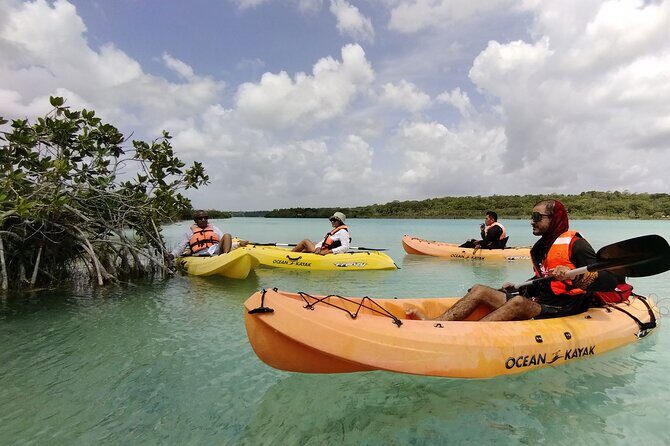Bacalar Lagoon! Kayaks & Cenote Azul From Playa Del Carmen - Itinerary Breakdown and What to Expect