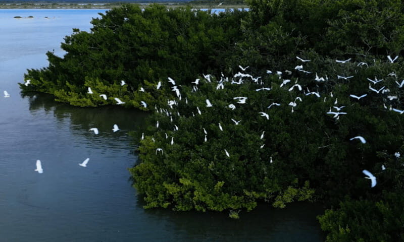 Bacalar: Lagoon, Pirate Canal, Stromatolite Day Trip w/Lunch - FAQs