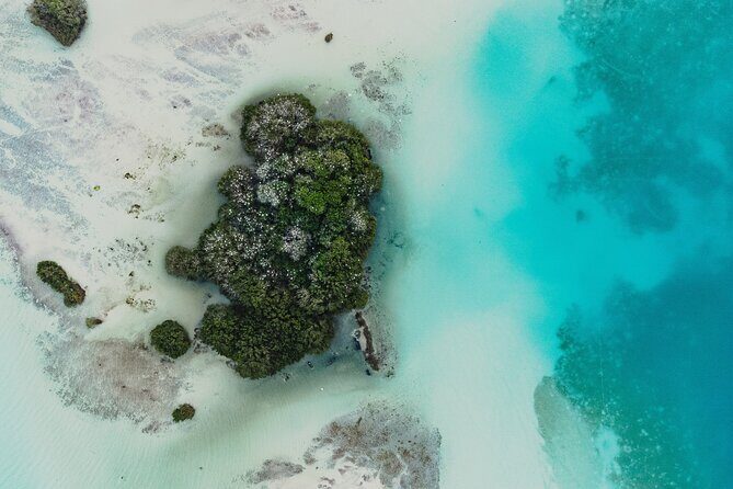 Bacalar Lagoon Sightseeing Boat Tour with Open Bar and Snacks - Final Thoughts: Is This Tour Worth It?