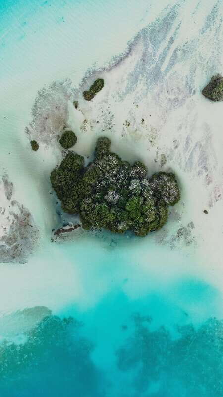 Bacalar Lagoon Sightseeing Boat Tour with Open Bar & Snack - Who Will Love This Tour?