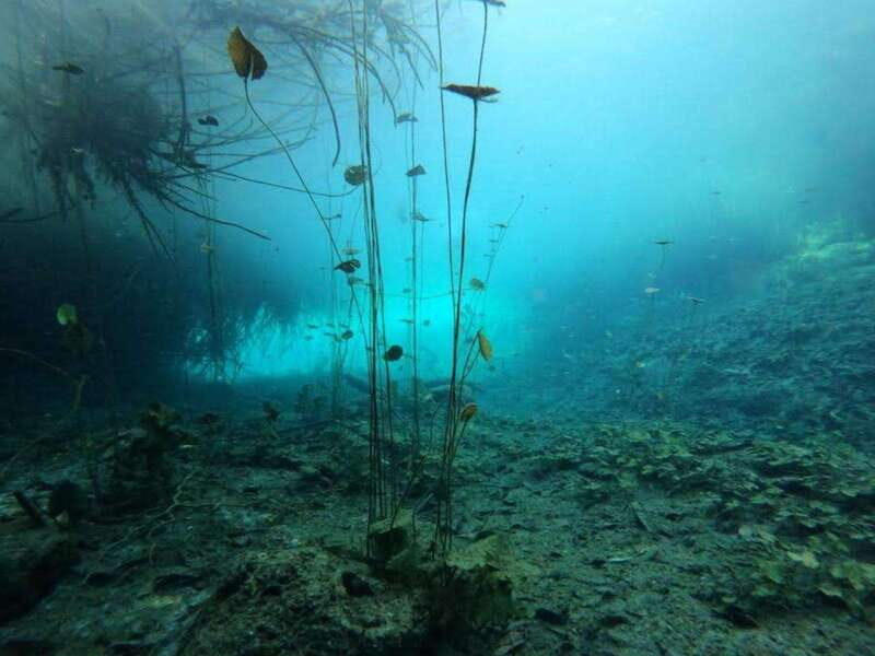 Bacalar: Magnificent Bacalar Lagoon Exclusive Boat Tour - Authentic Encounters and Ecological Appreciation