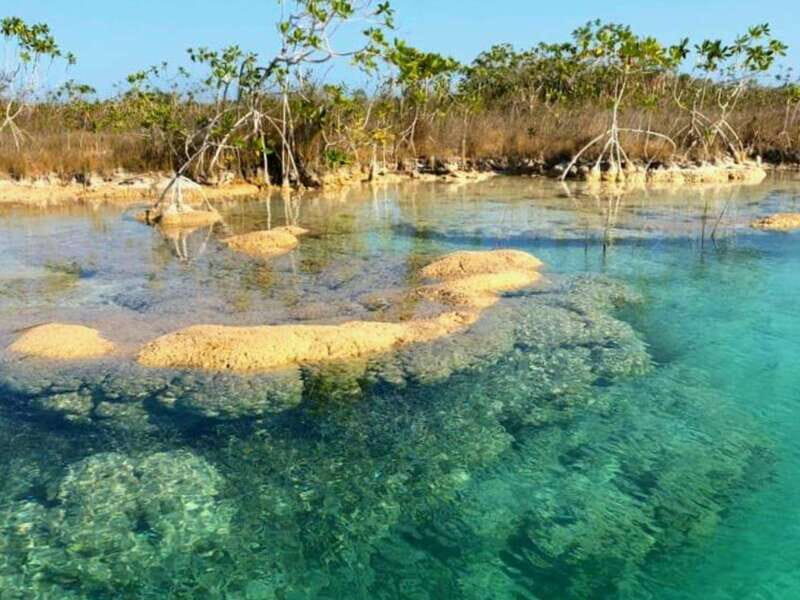 Bacalar: Magnificent Bacalar Lagoon Exclusive Boat Tour - Value and Cost Analysis