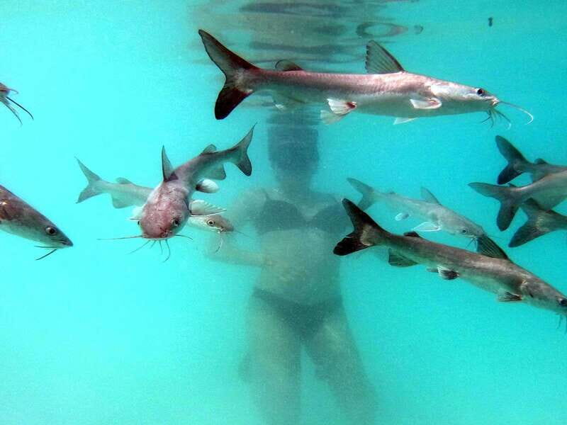 Bacalar: Magnificent Bacalar Lagoon Exclusive Boat Tour - Practical Details for Planning