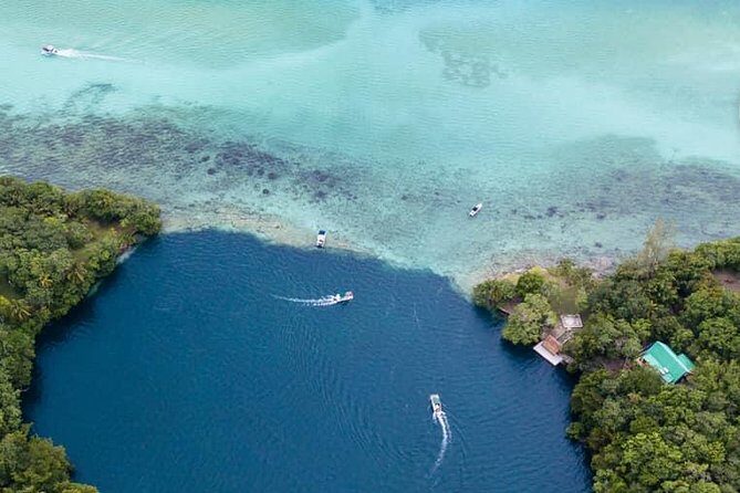 Bacalar Seven Color Lagoon Boat Adventure with Grill Option - The Bottom Line