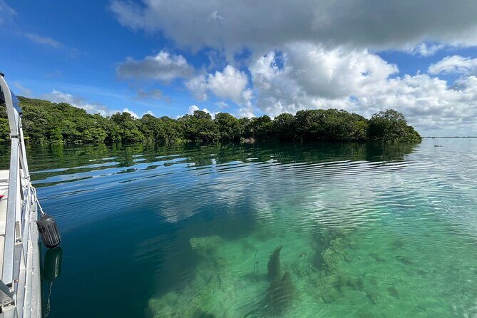 Bacalar Seven Colors Lagoon Boat Tour - Final note