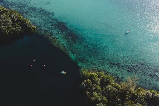 Bacalar Sunrise Stand Up Paddleboard Tour with Breakfast & Photos - An Authentic Wake-Up Call: What the Tour Offers